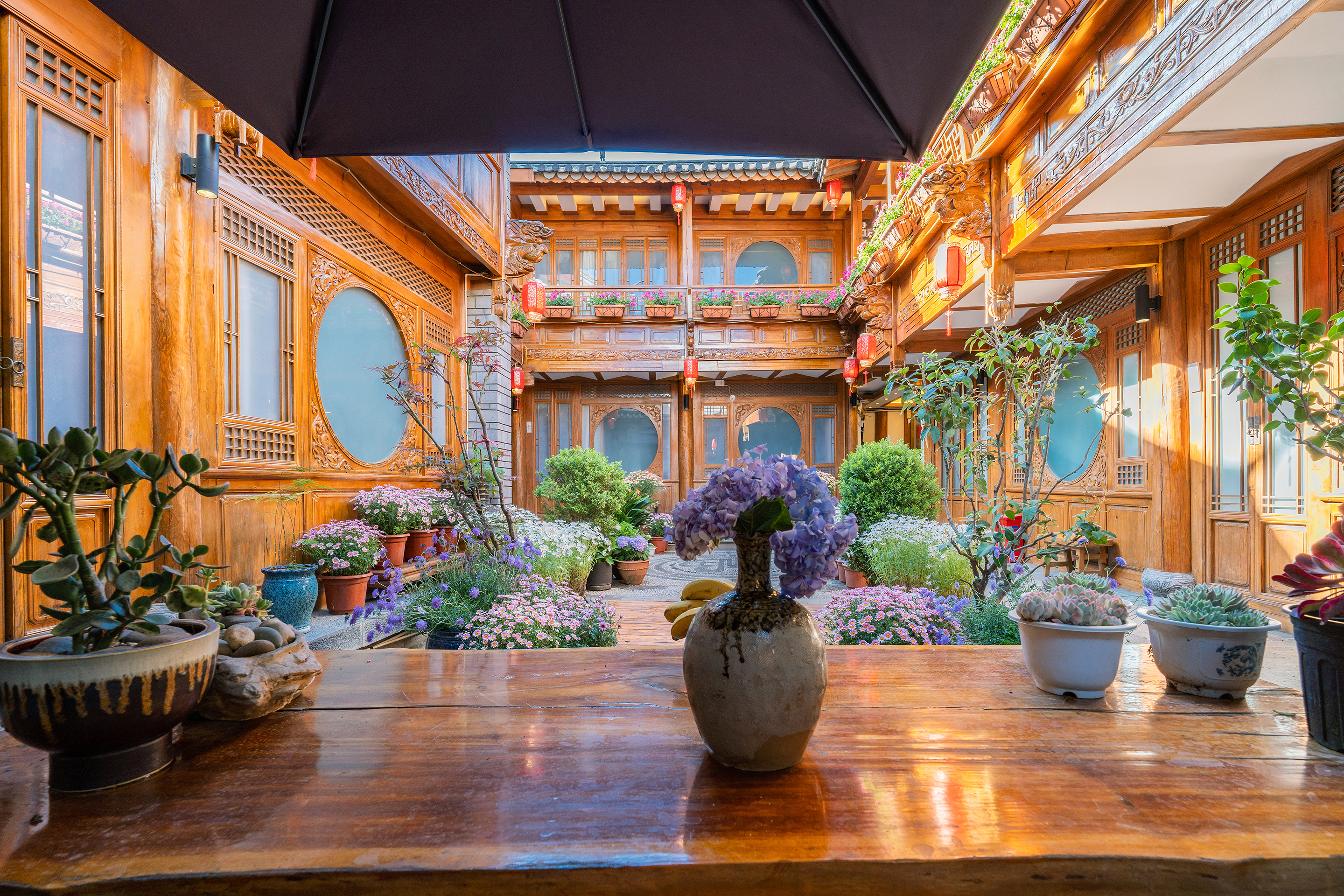 拾乐Hot Spring.花畔品牌设计师美居图片2