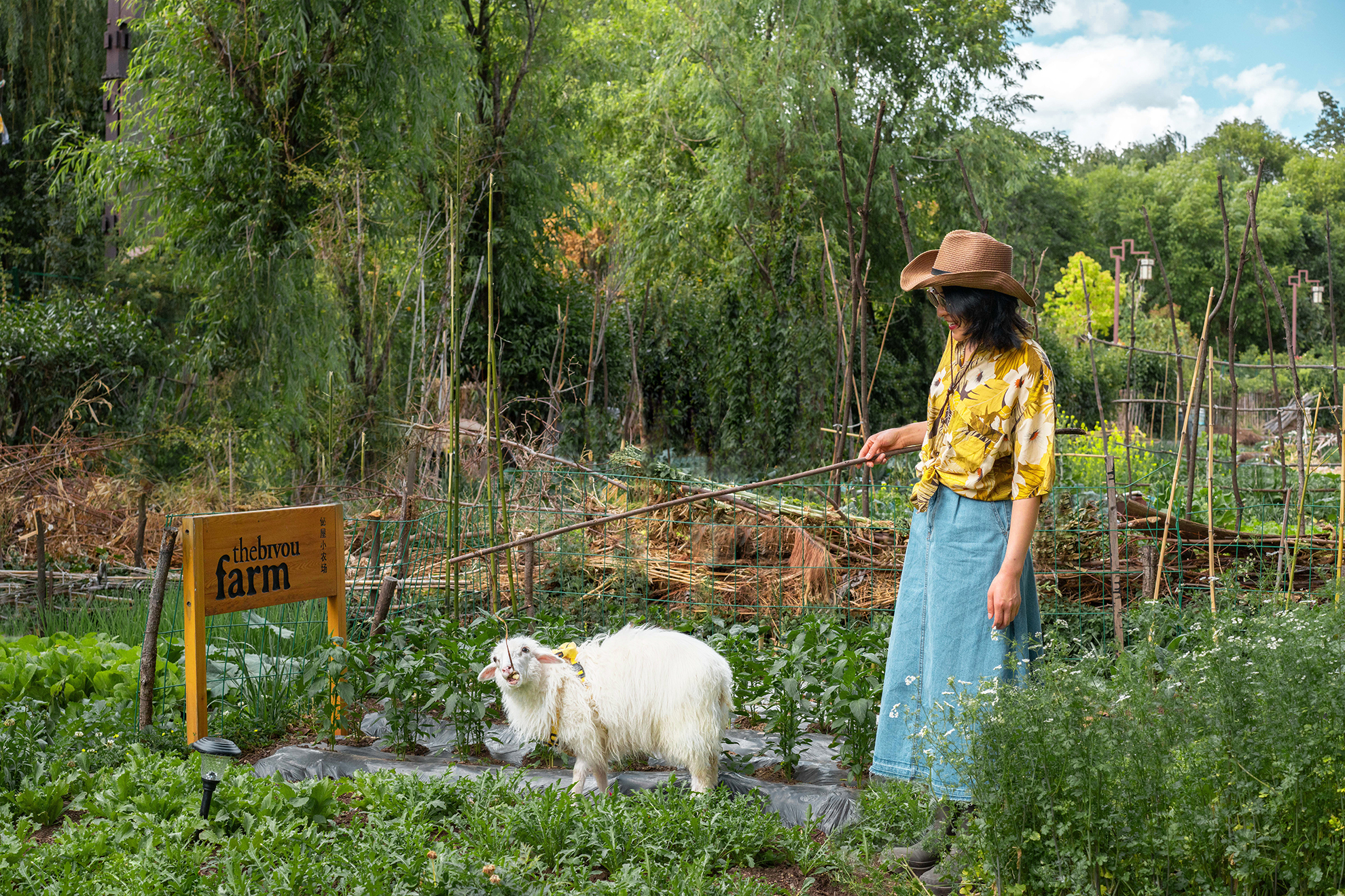 The Bivou 佖屋酒店图片2